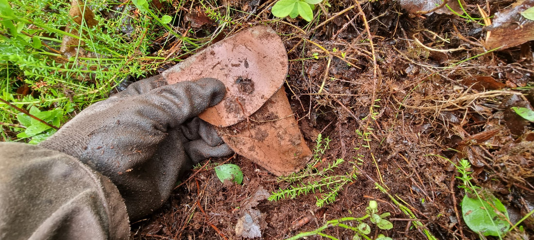 hobbyhistorica metal detecting relic hunting gebirgsjäger northern norway ww2 yngve sjødin inka holmes