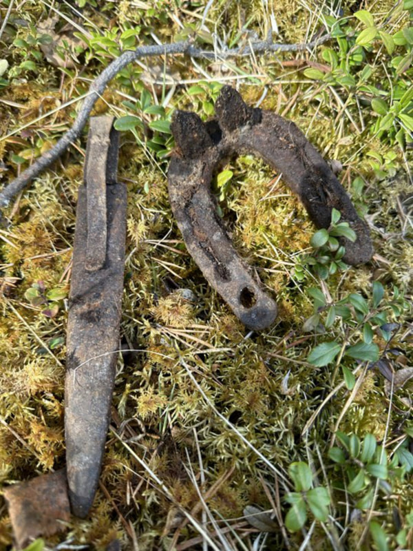 hobbyhistorica gebirgsjäger edelweiss yngve sjødin inka holmes ww2 metal detecting